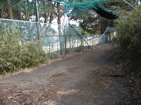 20200122hike (226)